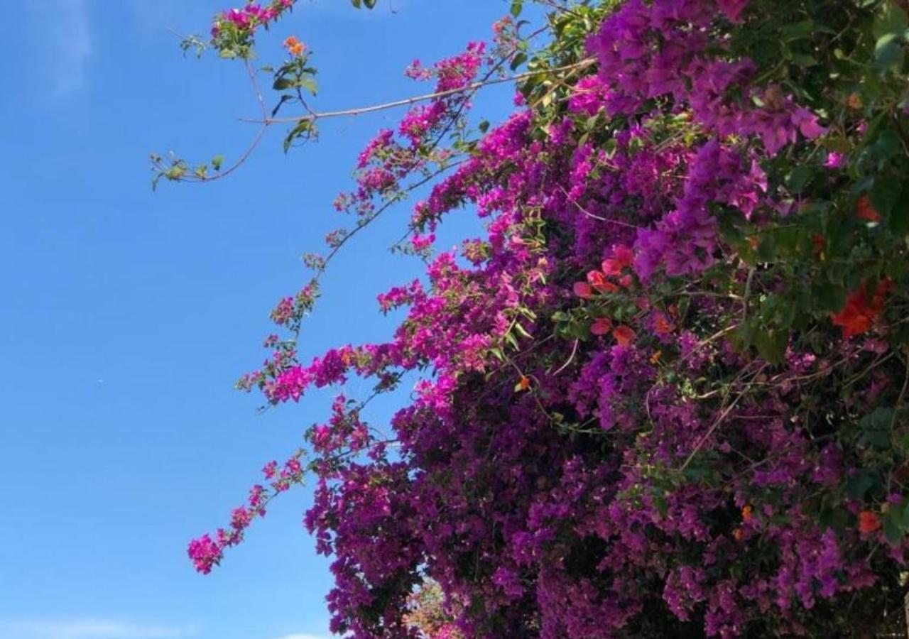 Pousada Halliny Do Rosa Praia do Rosa Buitenkant foto